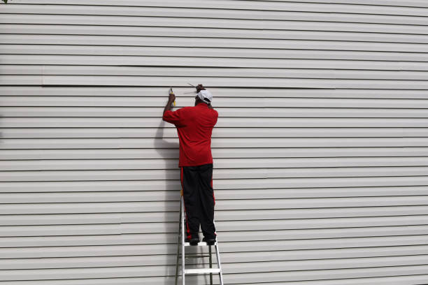 Best Steel Siding Installation  in Greenville, GA